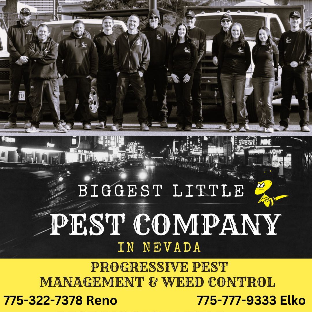 Biggest Little Pest Company in Nevada